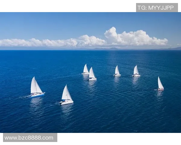 Vin足球员的成长之路与未来展望解析