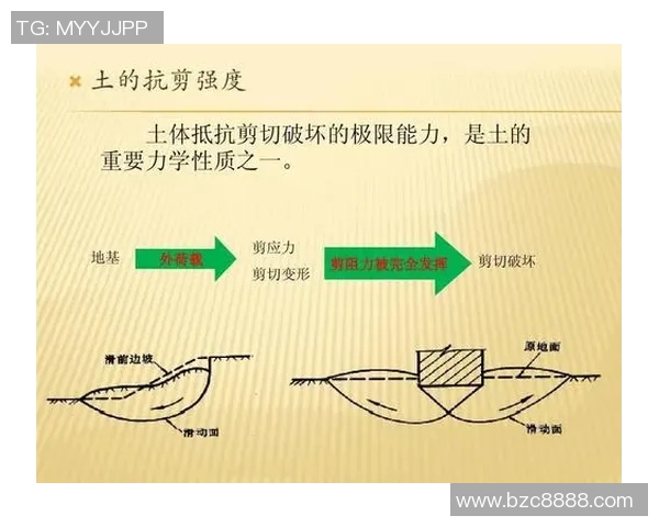 上海排球队个人能力分析与战术配合的深度探讨