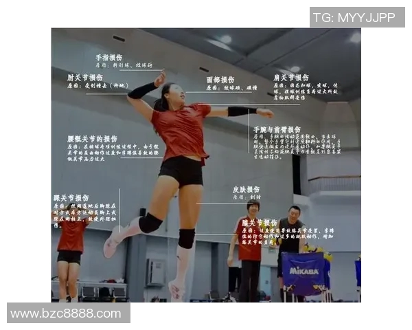 上海排球队的比赛经验分享与成长之路探讨