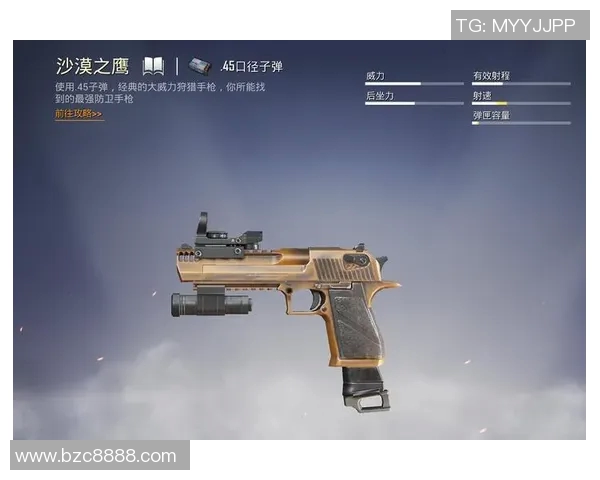 专访周磊揭秘和平精英成功背后的策略与创新思维