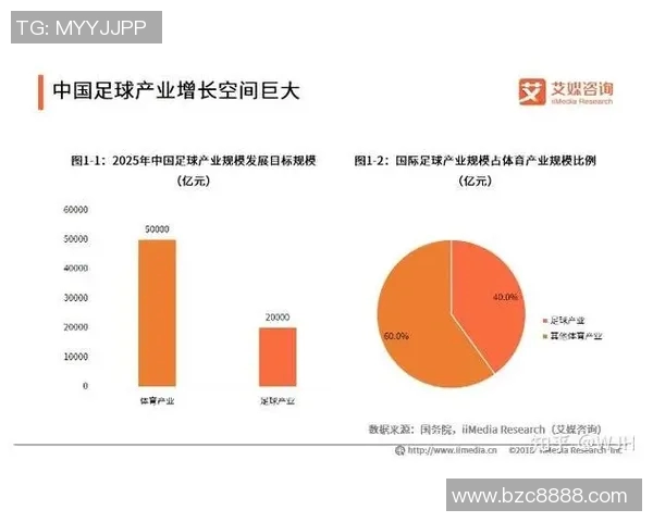 中国注册足球员数量统计及其对足球发展的影响分析